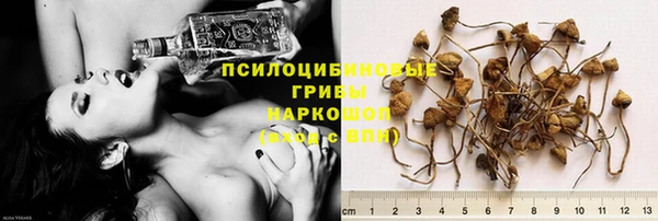 тгк Алексин