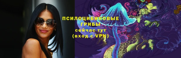 стафф Алексеевка