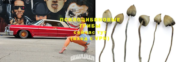тгк Алексин