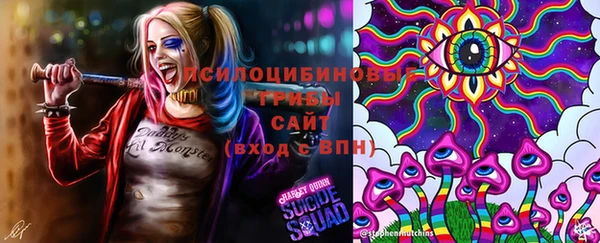 стафф Алексеевка